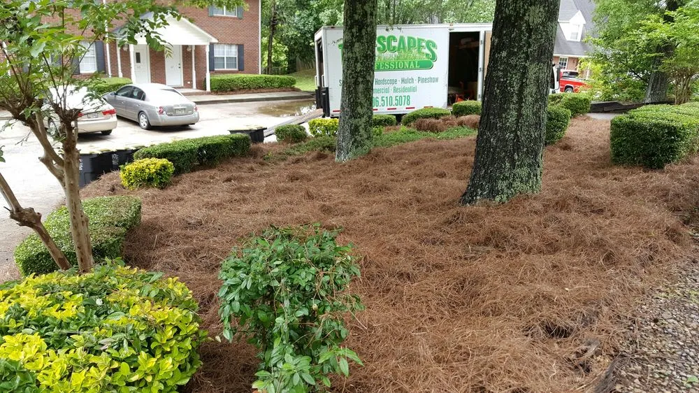 Top-rated garden landscaping for outdoor upgrades in Kingston, GA by Turfscapes Professional