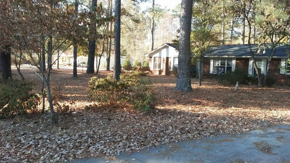 Top-rated lawn mowing service in Kingston, GA by Turfscapes Professional