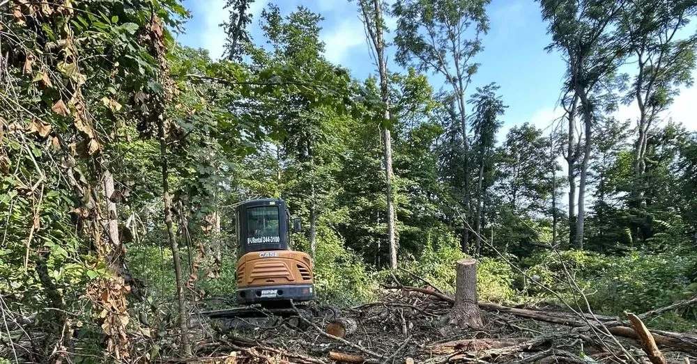 Reliable garden landscaping for outdoor upgrades across Pierceton, IN - Turfside Property Management Excavation