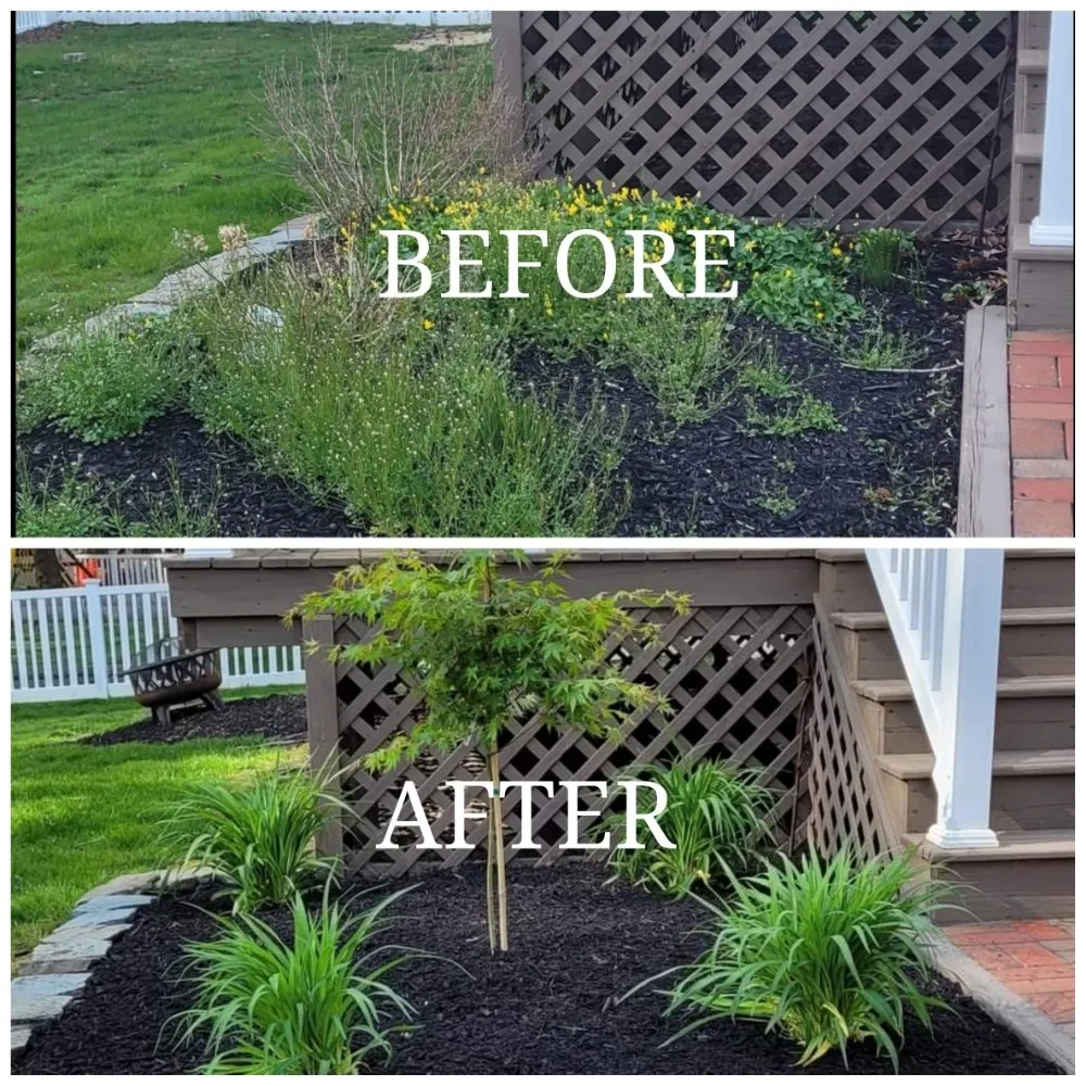 Expert lawn care service experts serving Glendora, NJ - TurfTamers Lawn Maintenance and Landscape Design