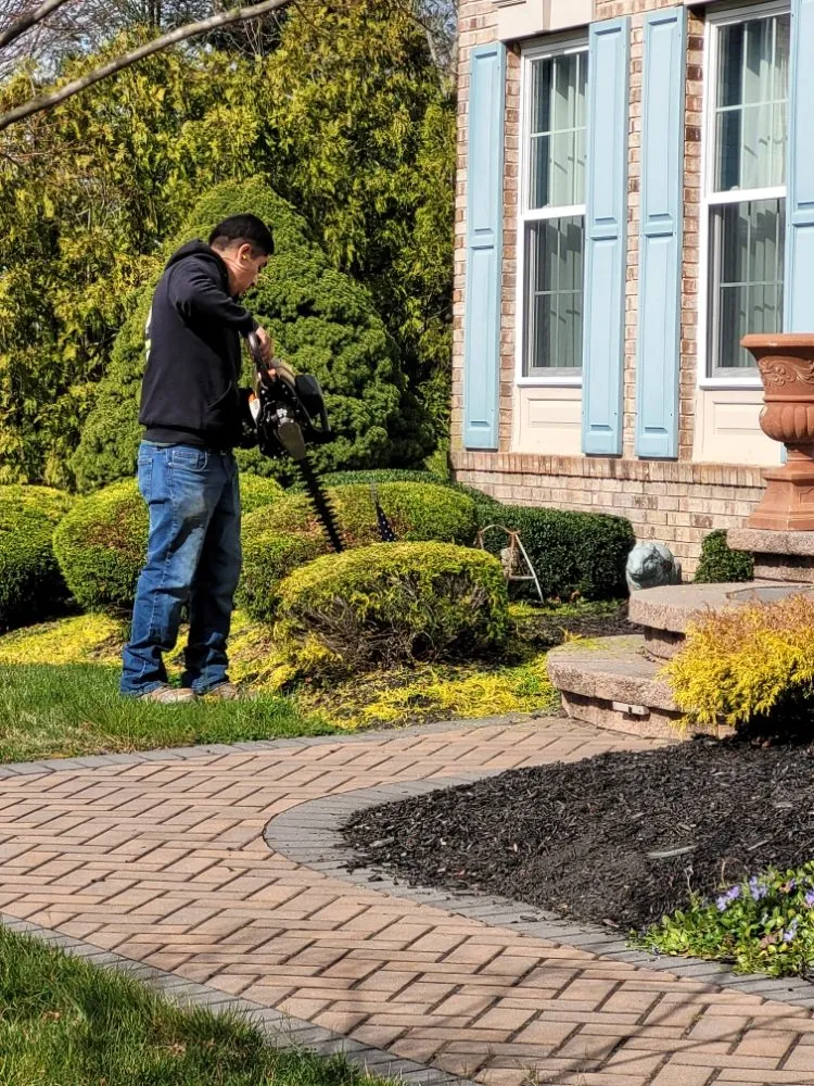 Expert yard cleanup service experts serving Glendora, NJ - TurfTamers Lawn Maintenance and Landscape Design