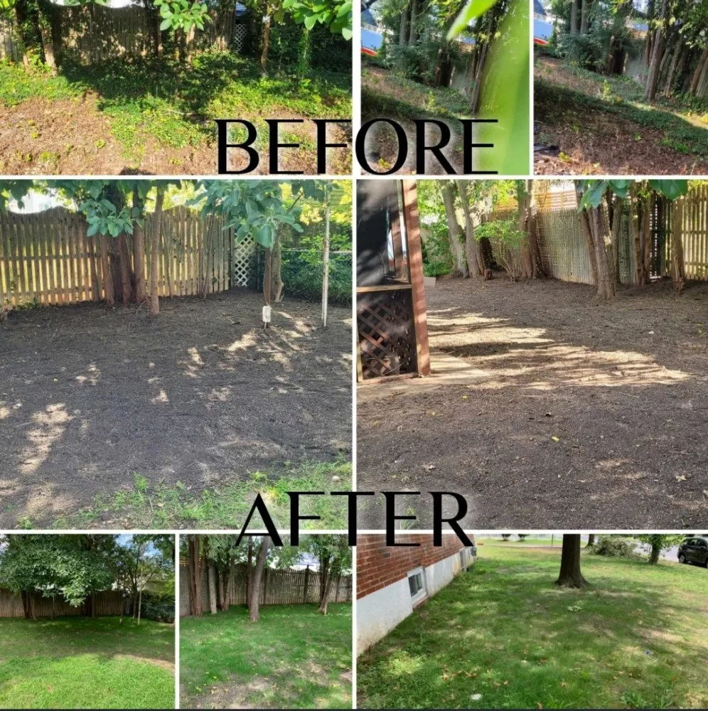 Professional residential landscaping for beautiful yards in Glendora, NJ by TurfTamers Lawn Maintenance and Landscape Design