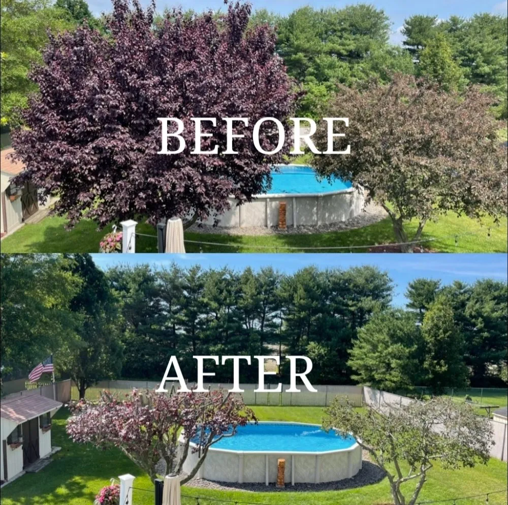 Reliable yard maintenance experts serving Glendora, NJ - TurfTamers Lawn Maintenance and Landscape Design