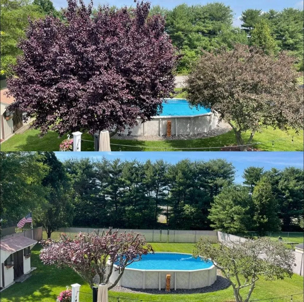 Custom yard maintenance for year-round maintenance across Glendora, NJ - TurfTamers Lawn Maintenance and Landscape Design