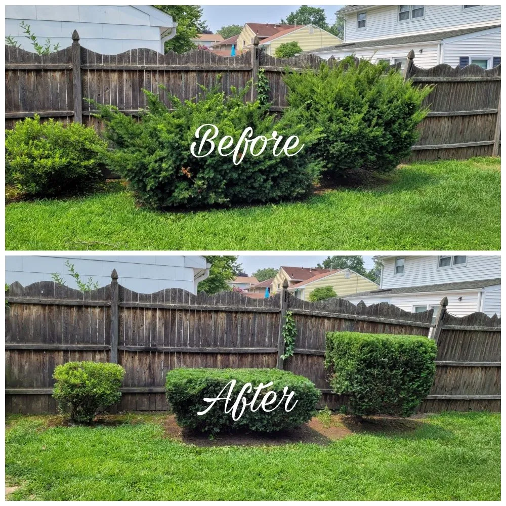 Top-rated yard cleanup service experts serving Glendora, NJ - TurfTamers Lawn Maintenance and Landscape Design