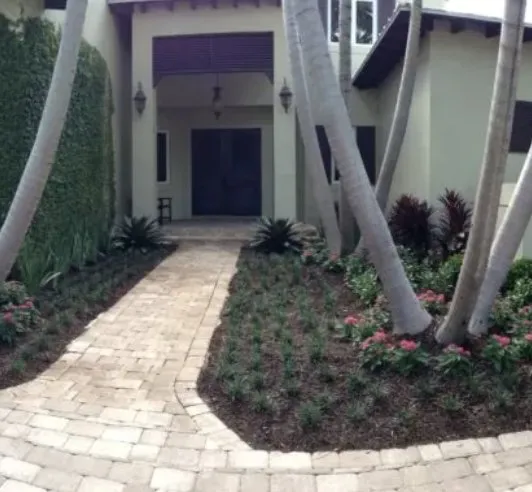 Custom yard cleanup service for outdoor upgrades across Miami, FL - TurfTim Landscape and Design