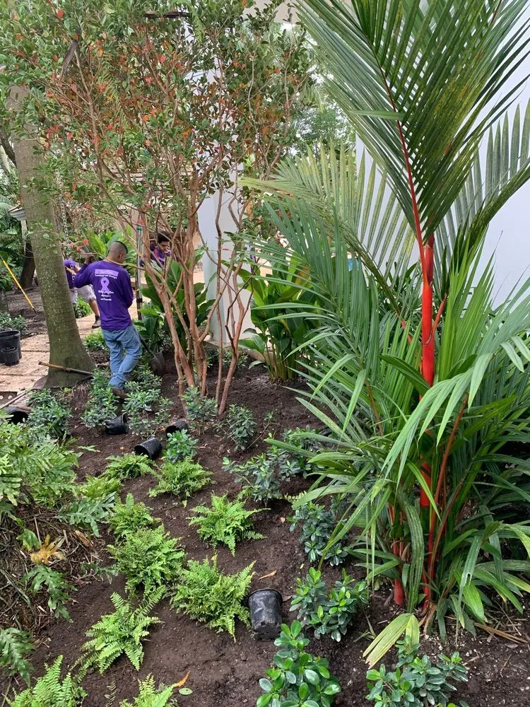 Trusted residential landscaping experts serving Miami, FL - TurfTim Landscape and Design