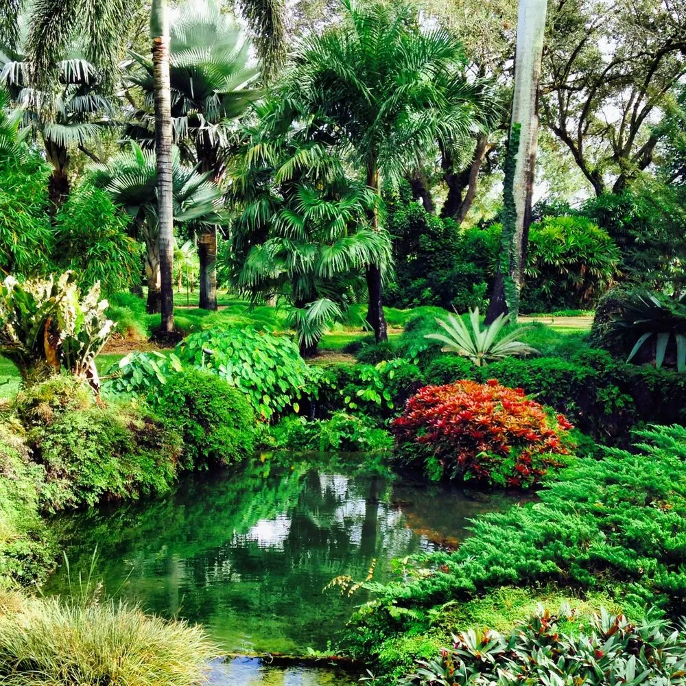 Local landscape design in Miami, FL - TurfTim Landscape and Design