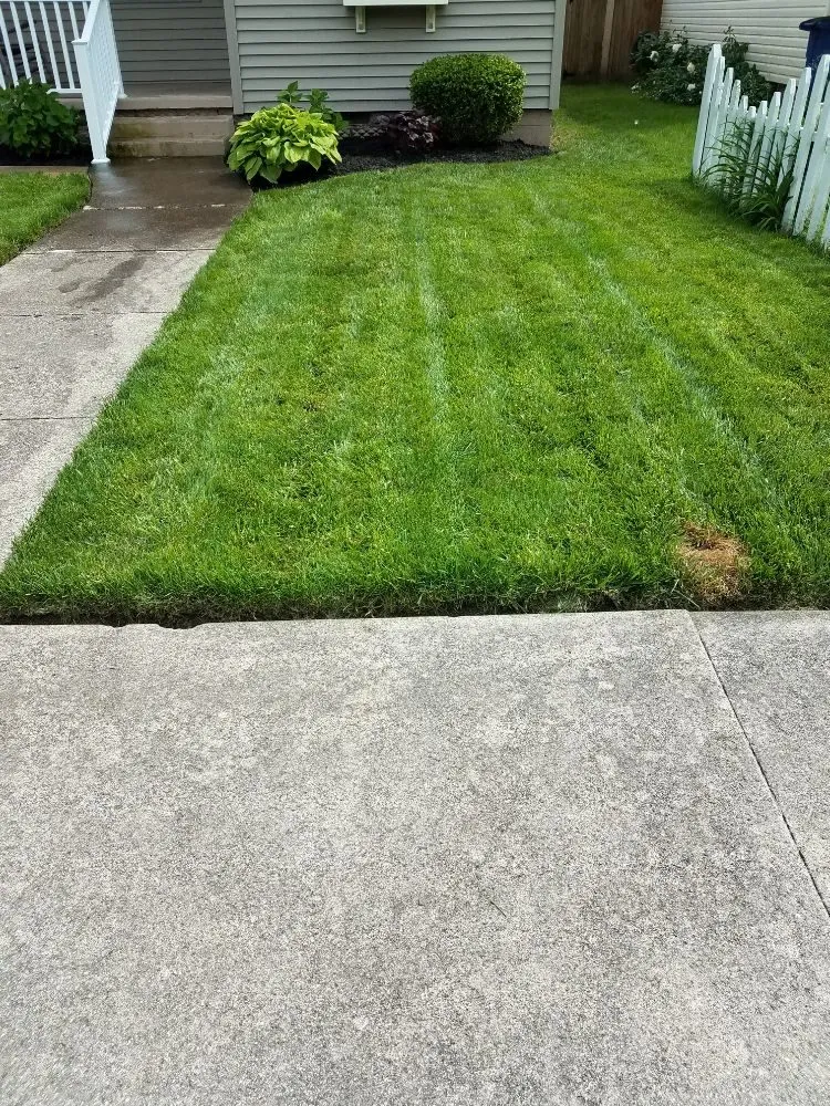 Affordable landscaping services in Marion, IN by Turftyme Lawn Care & Fertilization