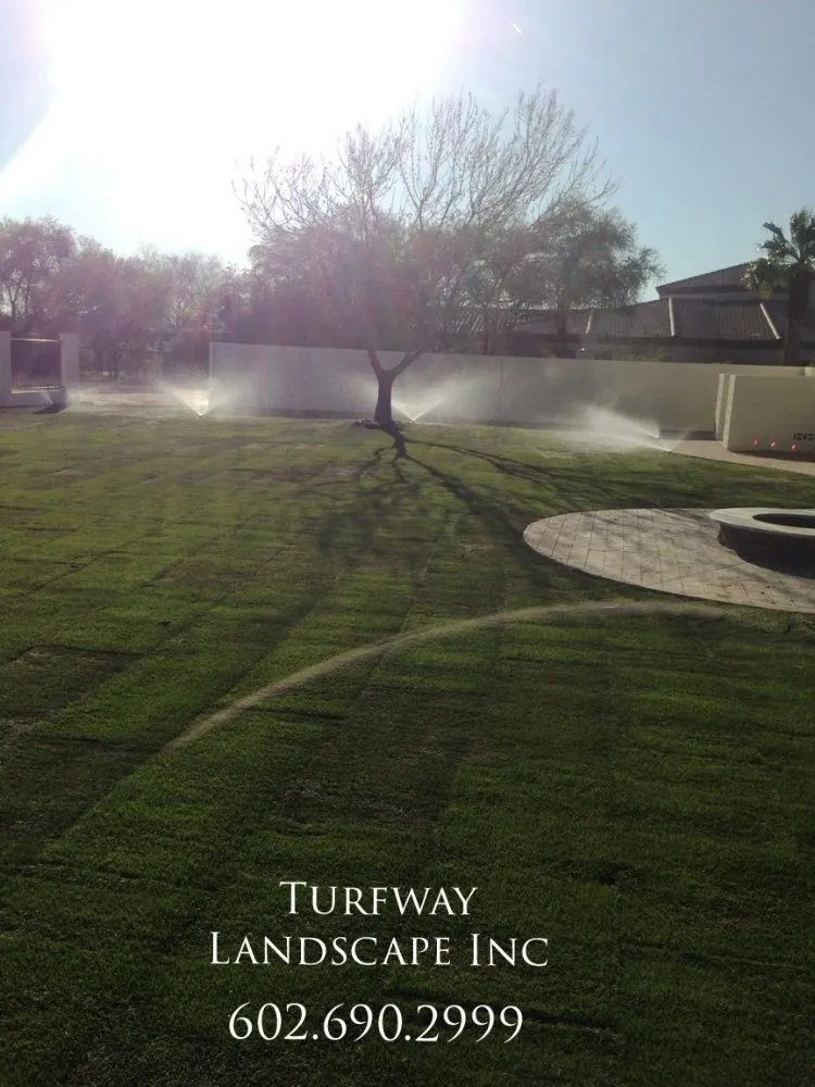 Expert landscape design experts serving Queen Creek, AZ - Turfway Landscape