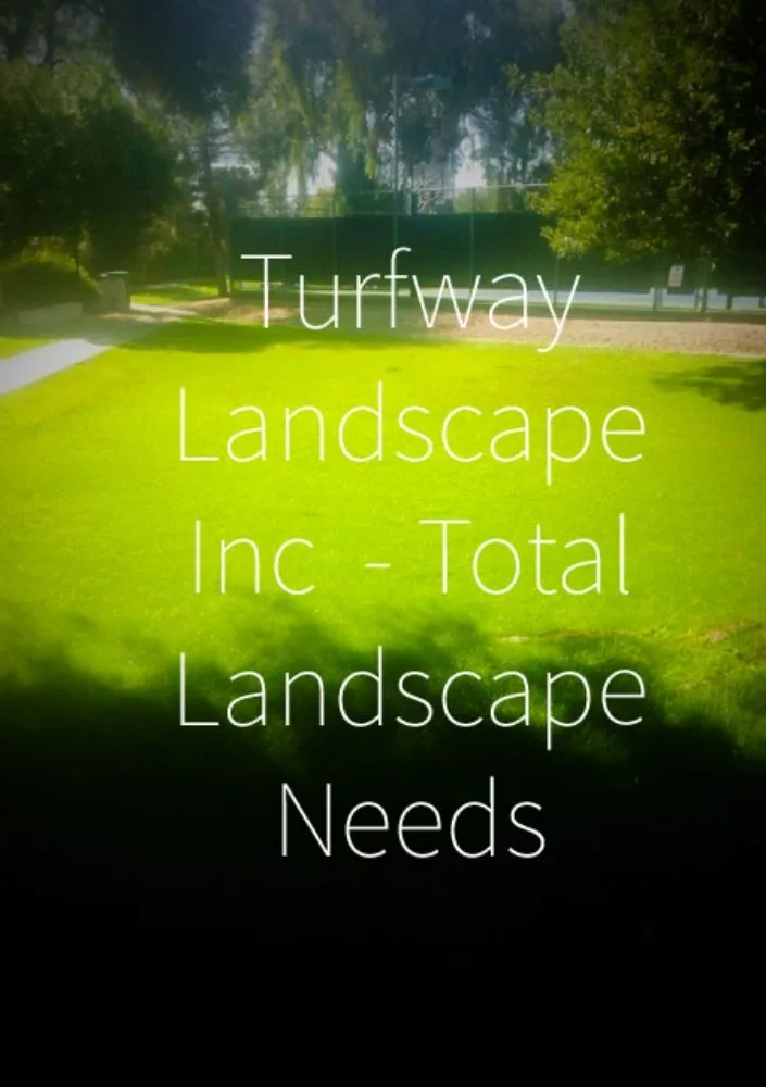 Professional yard maintenance in Queen Creek, AZ by Turfway Landscape