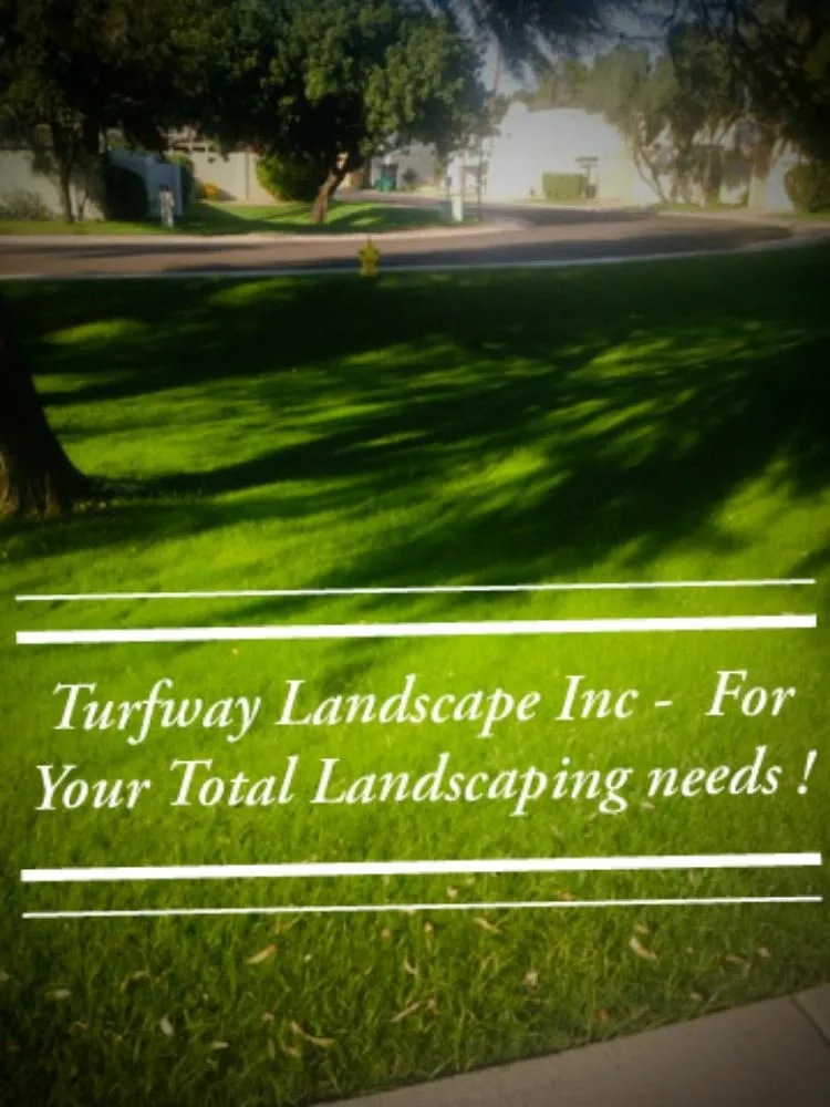 Custom yard maintenance in Queen Creek, AZ - Turfway Landscape