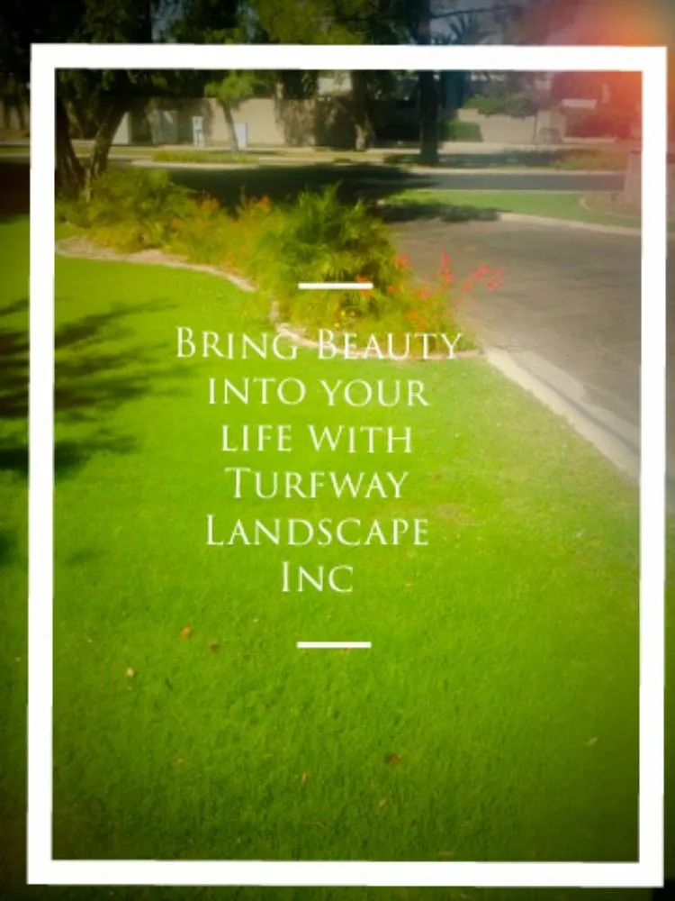 Trusted lawn mowing service in Queen Creek, AZ by Turfway Landscape