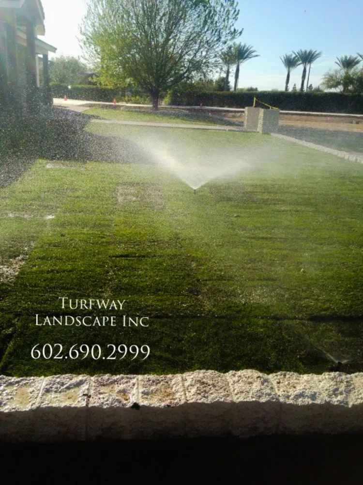 Reliable garden landscaping in Queen Creek, AZ - Turfway Landscape