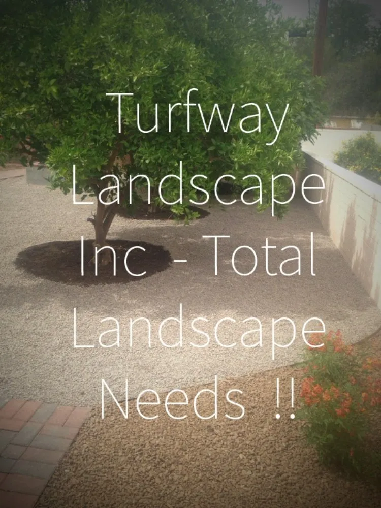 Local landscape design near you in Queen Creek, AZ by Turfway Landscape