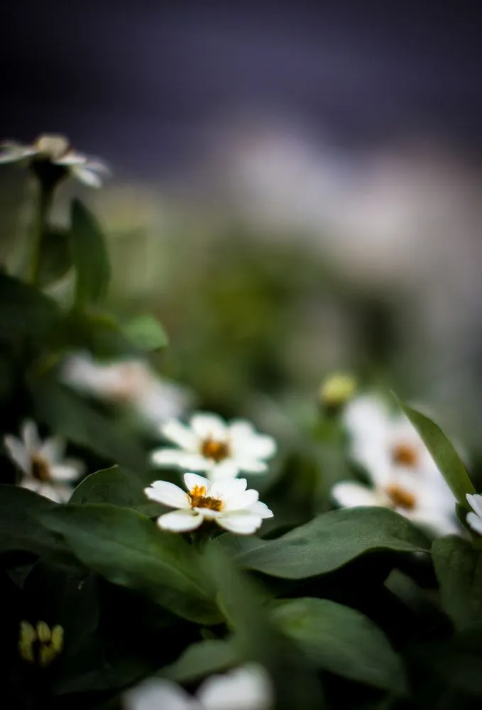 Trusted garden landscaping in Oklahoma City, OK - TurfWorks