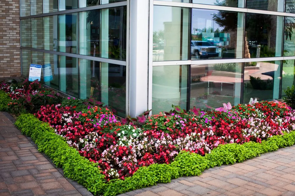 Trusted landscaping services in Oklahoma City, OK - TurfWorks