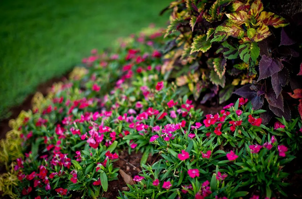 Trusted landscaping services experts serving Oklahoma City, OK - TurfWorks