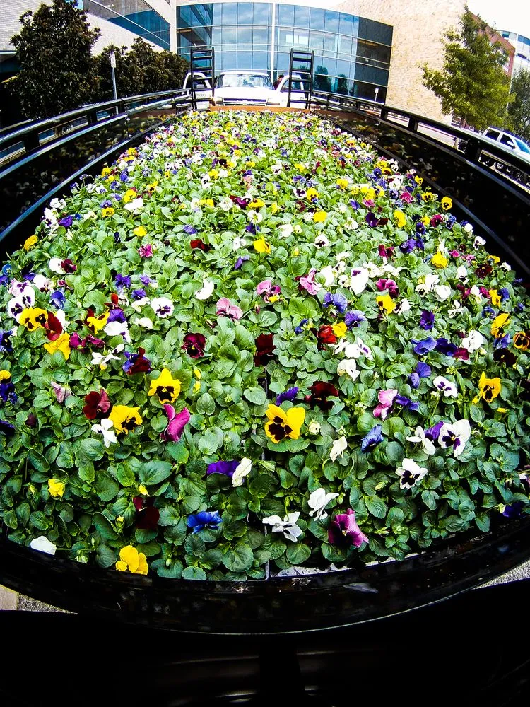 Local garden landscaping for homes across Oklahoma City, OK - TurfWorks