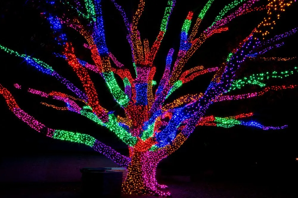 Professional outdoor landscaping in Oklahoma City, OK by TurfWorks