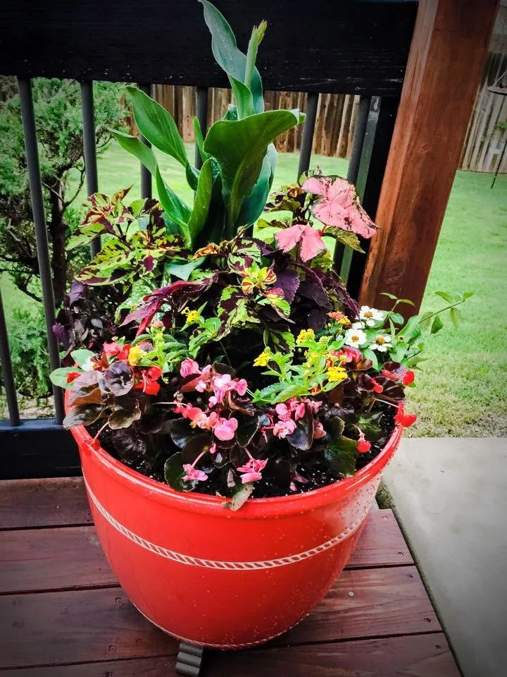 Custom lawn mowing service in Oklahoma City, OK - TurfWorks