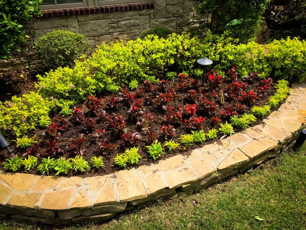 Professional yard cleanup service in Oklahoma City, OK - TurfWorks