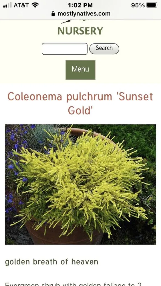 Professional landscaping services in Vacaville, CA by Turfworks