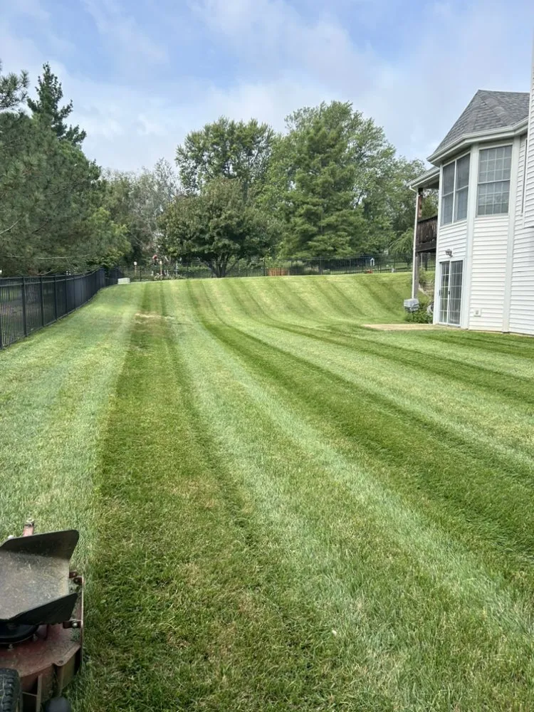 Reliable yard cleanup service in St. Peters, MO by Turfworx