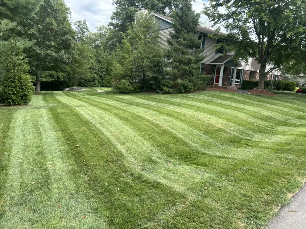 Local yard maintenance for outdoor upgrades in St. Peters, MO by Turfworx