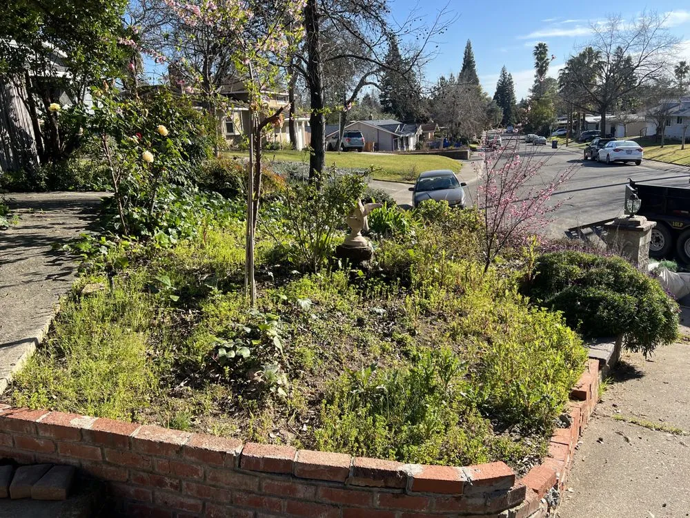 Trusted landscape design experts serving Auburn, CA - Turiace Landscaping