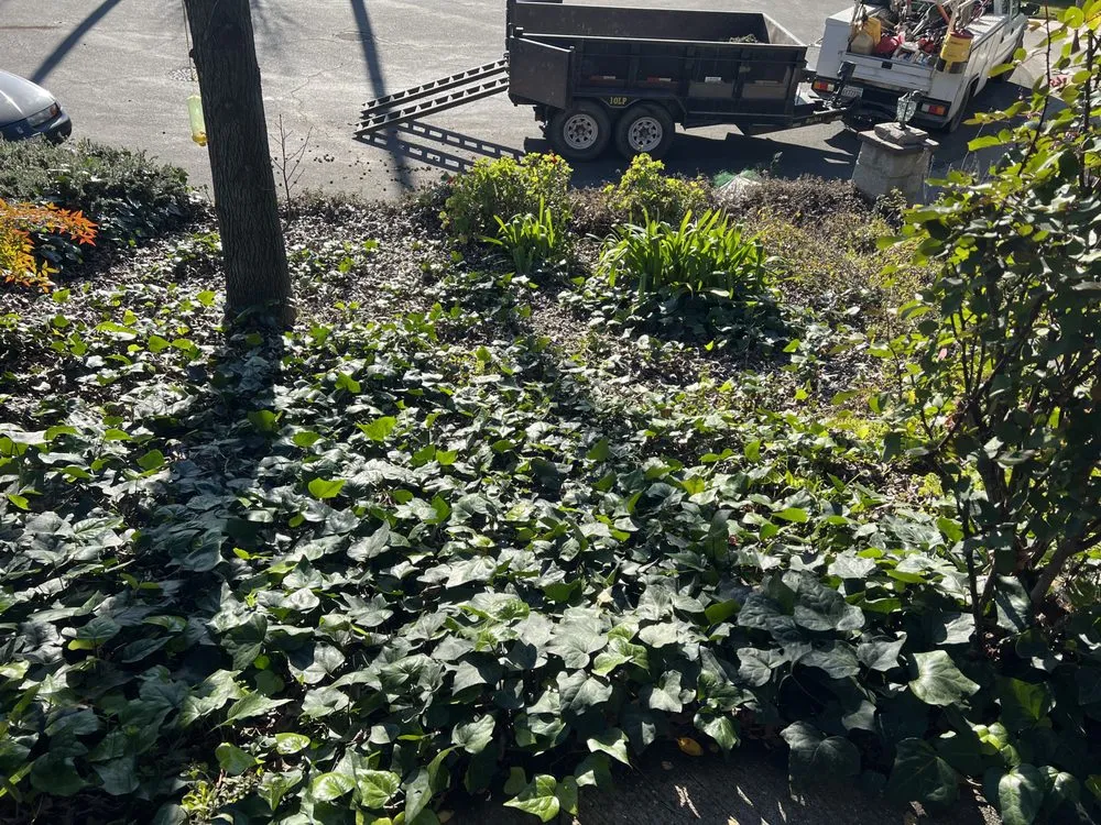 Custom lawn mowing service in Auburn, CA - Turiace Landscaping