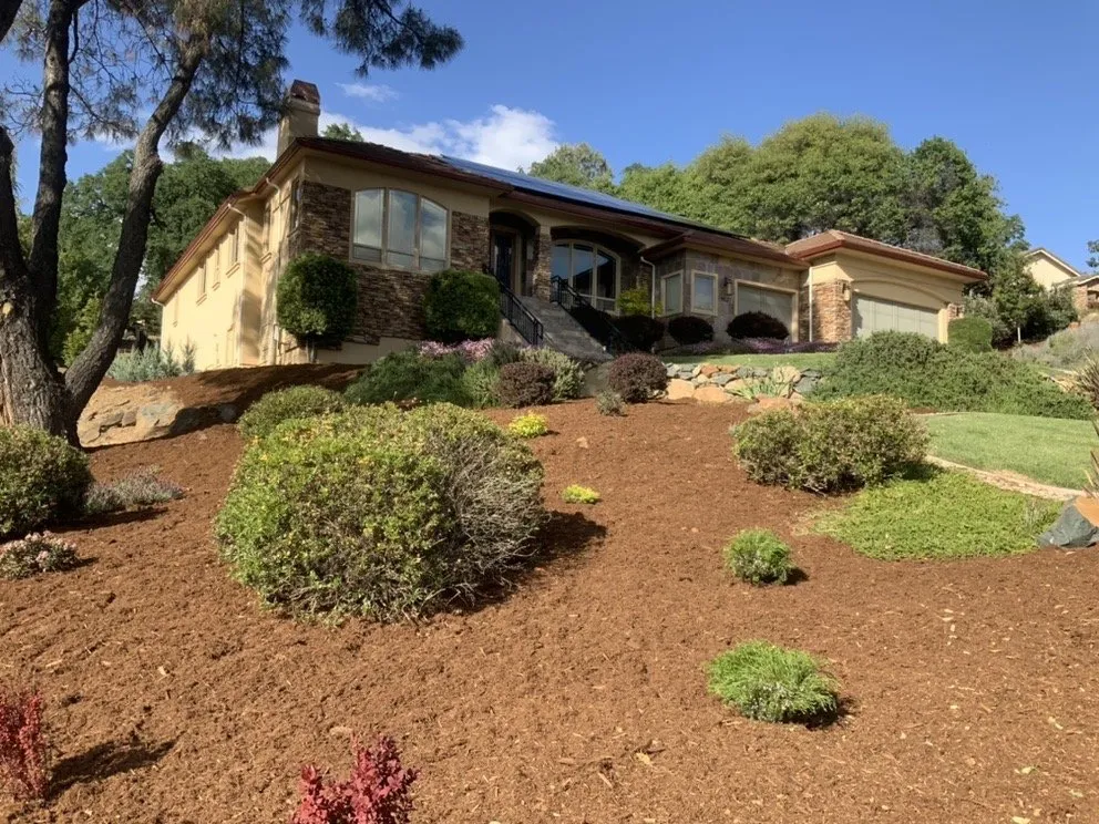 Affordable yard maintenance in Auburn, CA - Turiace Landscaping