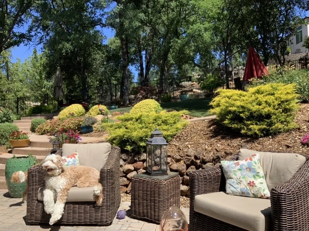 Local landscape design experts serving Auburn, CA - Turiace Landscaping