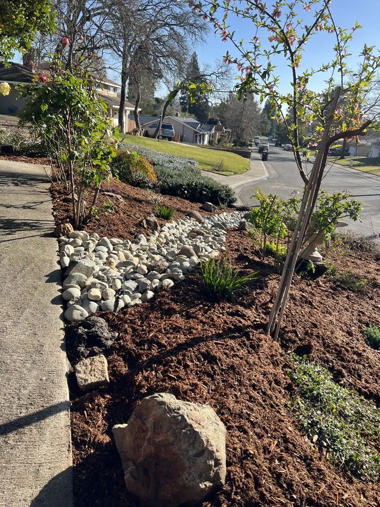 Local landscape design in Auburn, CA - Turiace Landscaping