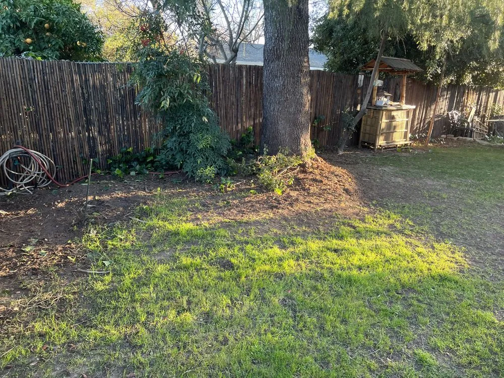 Affordable landscape design for homes across Auburn, CA - Turiace Landscaping