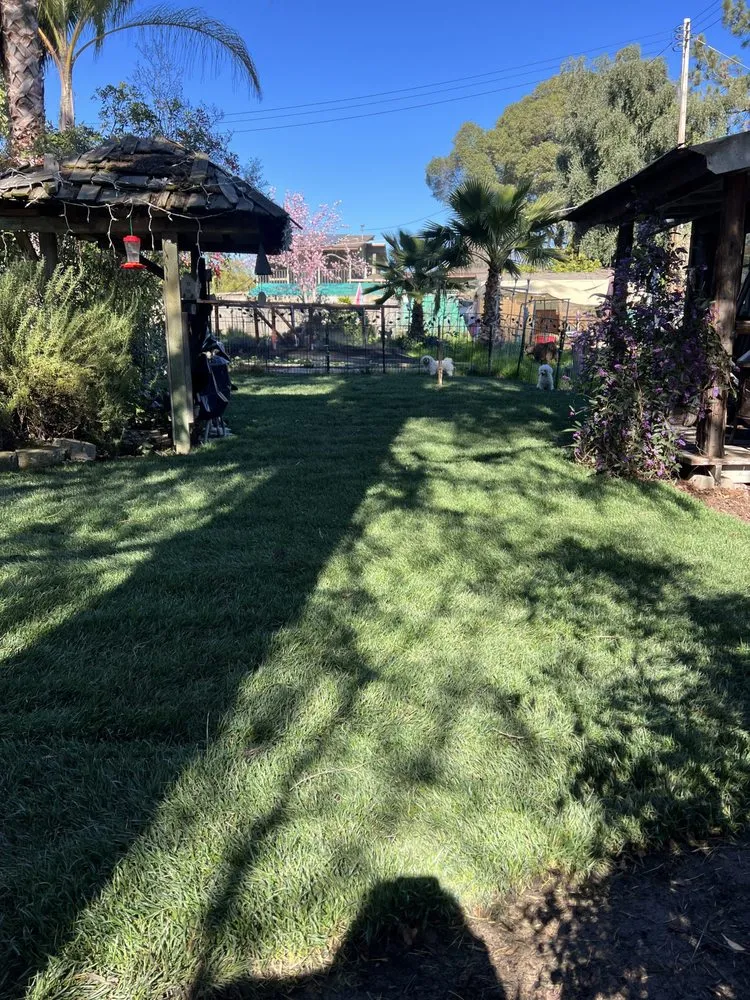 Expert landscaping services in Auburn, CA by Turiace Landscaping