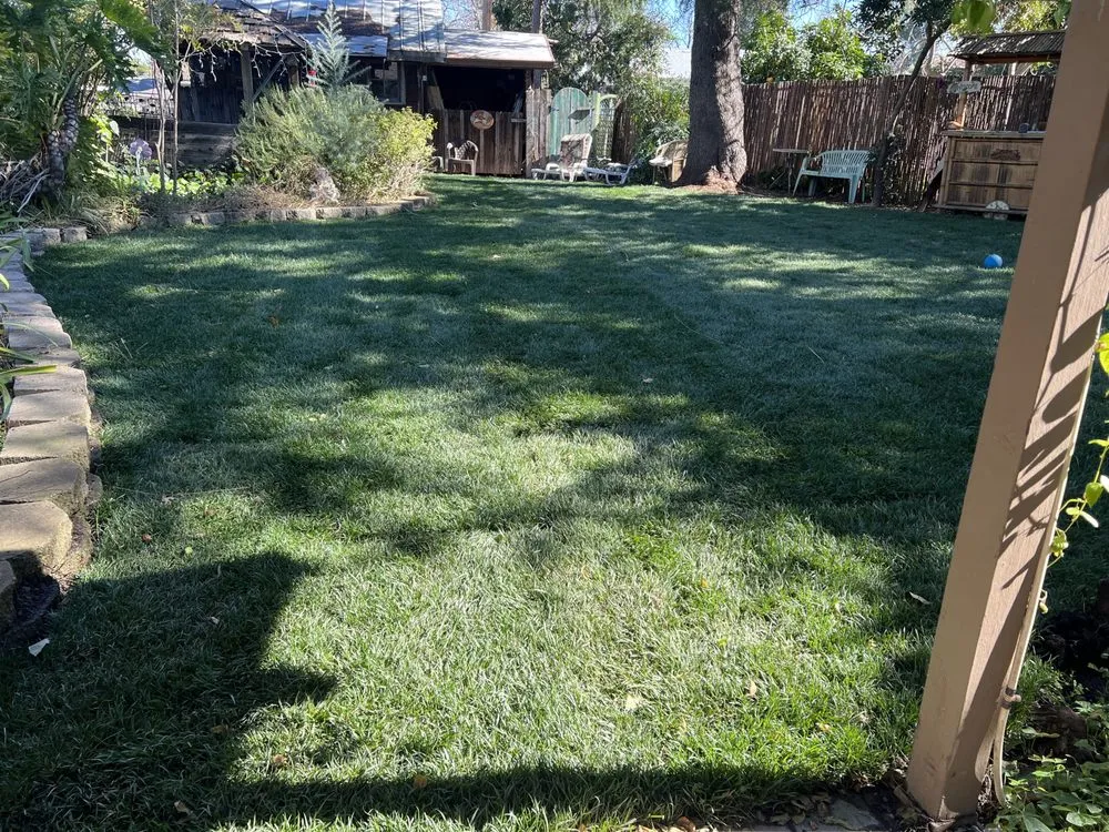 Affordable garden landscaping in Auburn, CA by Turiace Landscaping