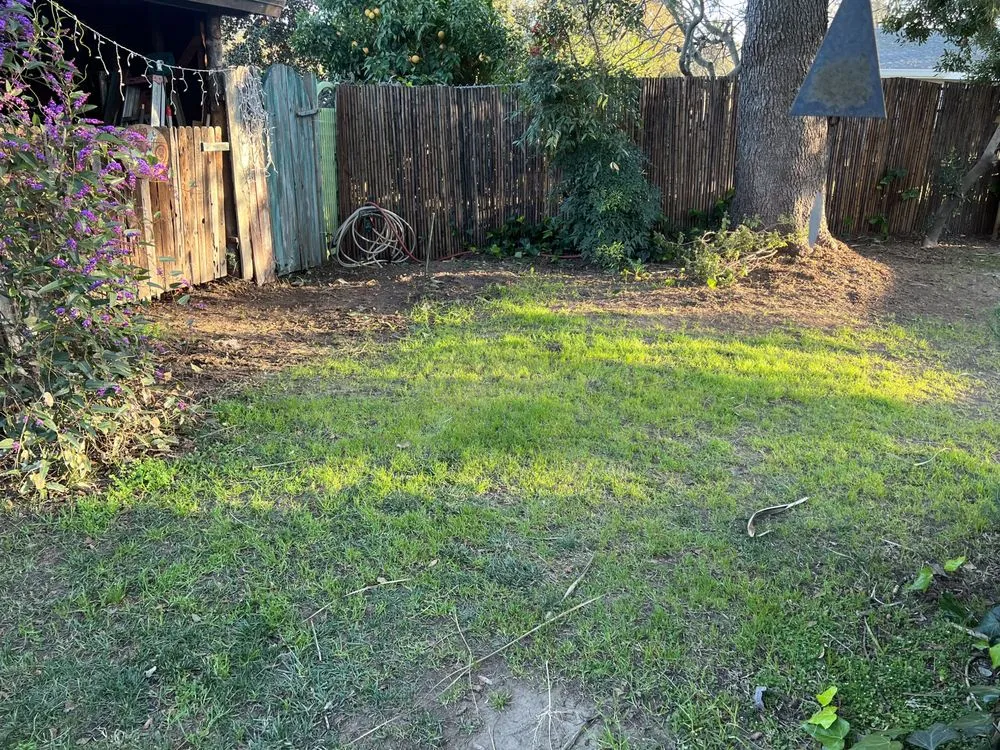 Professional landscape design in Auburn, CA - Turiace Landscaping