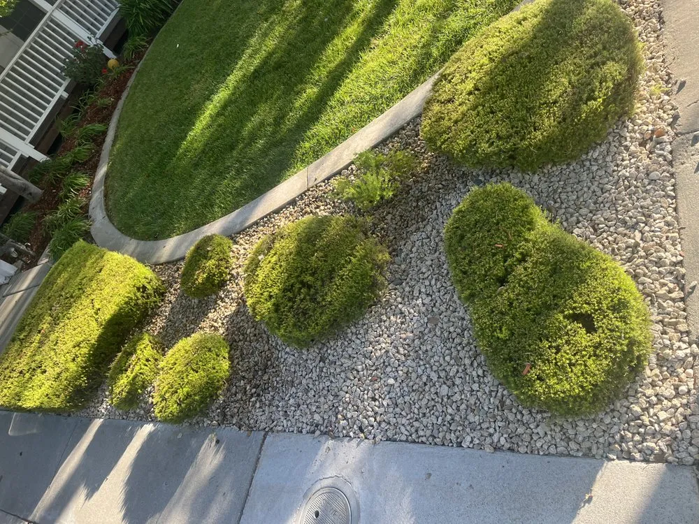Professional landscape design in San Jose, CA by Turino Landscaping