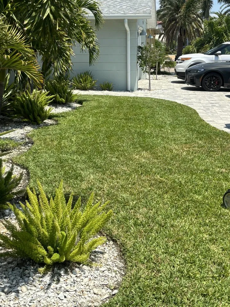Custom yard cleanup service in New Prt Rchy, FL by Turks Landscaping