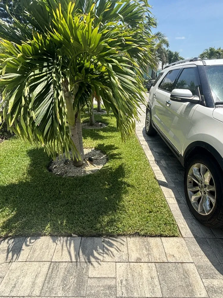 Trusted landscape installation in New Prt Rchy, FL by Turks Landscaping