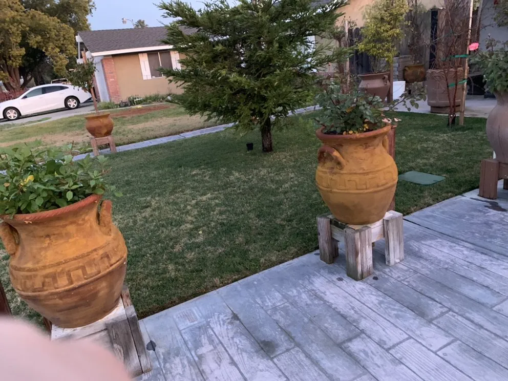 Trusted yard maintenance in Turlock, CA by Turlock Finest Lawn Care