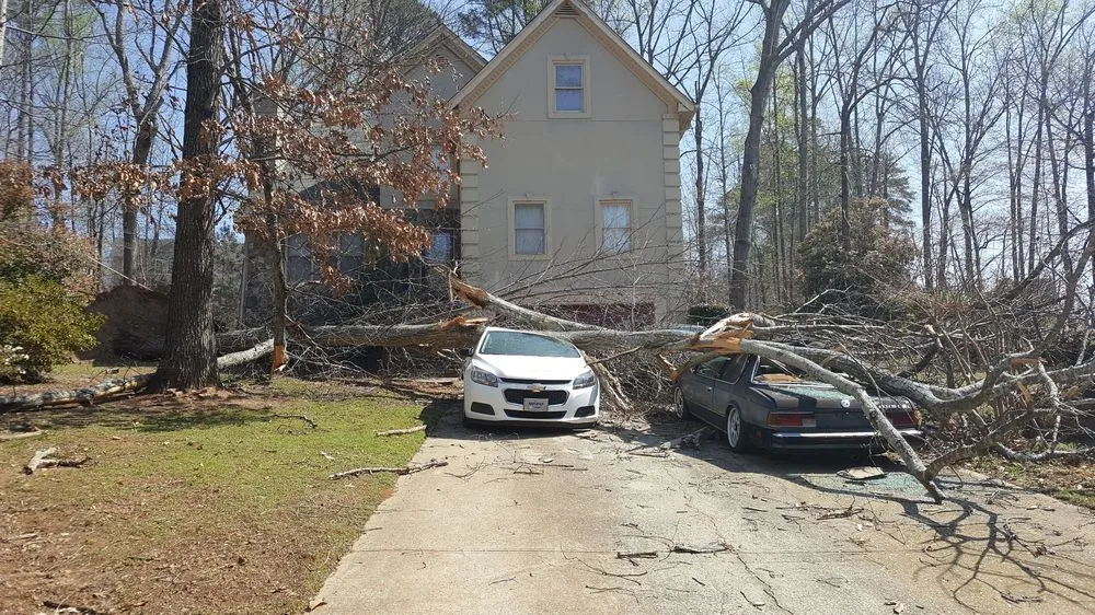 Expert lawn care service in Lithonia, GA by Turman Lawn Care