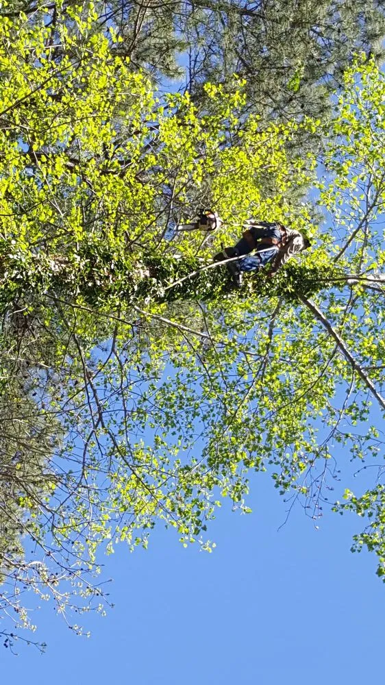 Reliable lawn mowing service for beautiful yards across Lithonia, GA - Turman Lawn Care