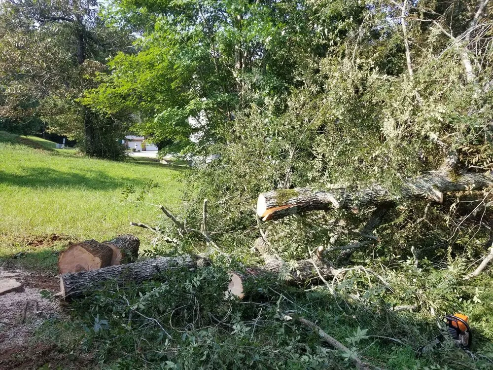 Reliable landscape installation in Lithonia, GA - Turman Lawn Care