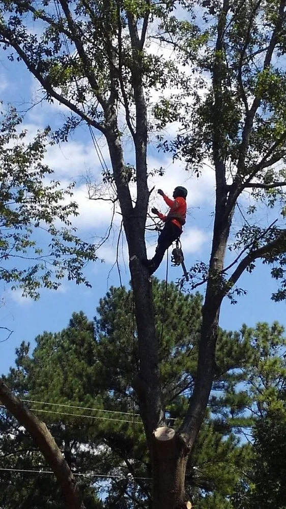 Reliable landscaping services for outdoor upgrades across Lithonia, GA - Turman Lawn Care