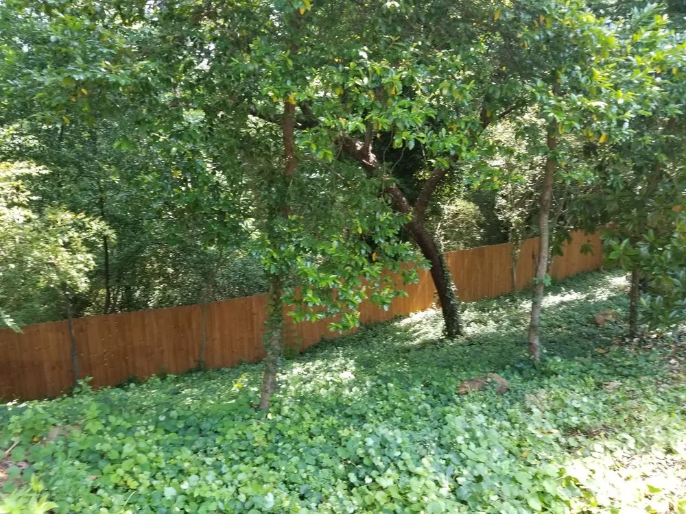 Custom lawn mowing service experts serving Lithonia, GA - Turman Lawn Care