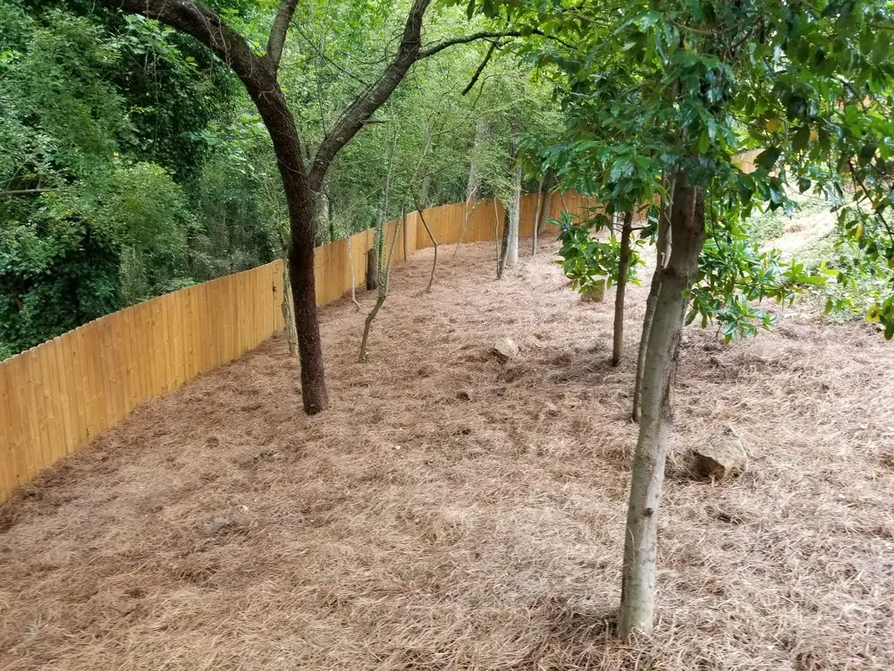 Reliable landscape design experts serving Lithonia, GA - Turman Lawn Care