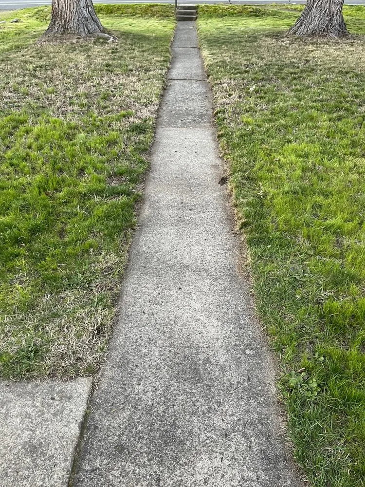 Local garden landscaping experts serving Lehigh Acres, FL - Turman's pressure washing and services