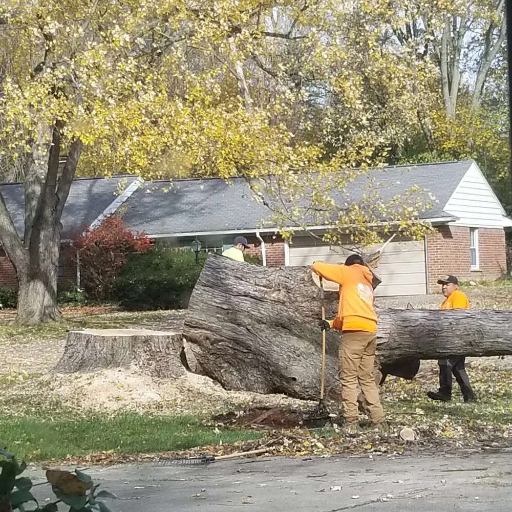 Professional landscape installation with custom design across Lake Orion, MI - Turman's Tree & Landscape